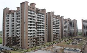 Hazel Heights Kundly